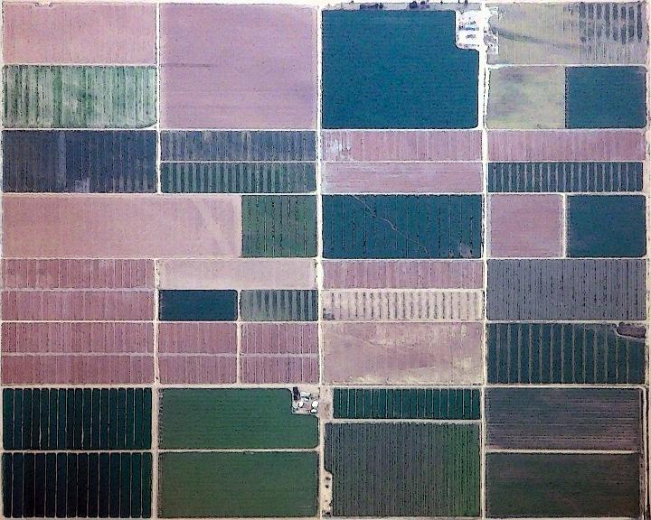 2633-Fields_6-border.jpg - Fields #6