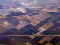 2608-fields_4