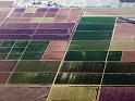 2632-fields_5
