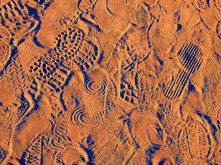 2080-footprints.jpg - The Well-Traveled Path - 2008