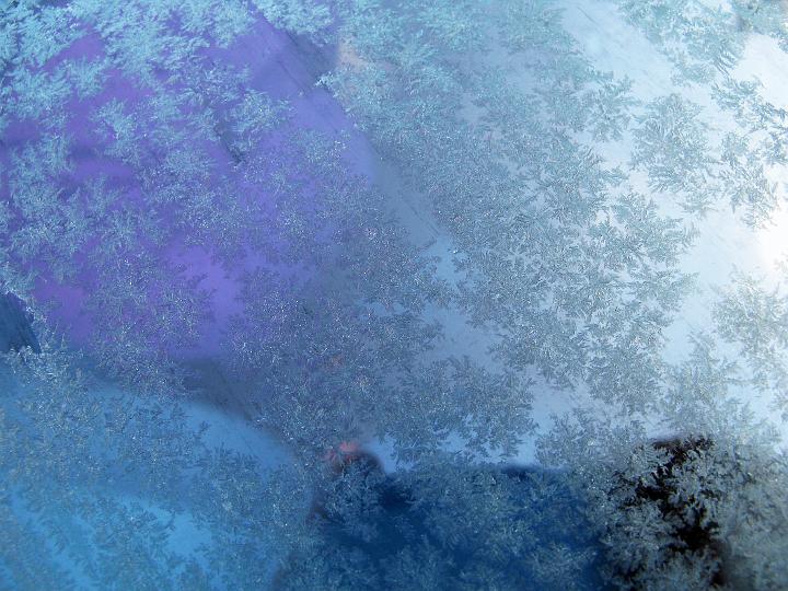 3026-windshield.jpg - Frostshield - 2008