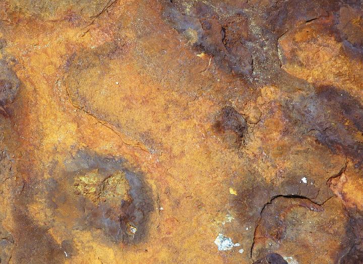 4083-rust.jpg - Rust - 2008