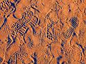 2080-footprints