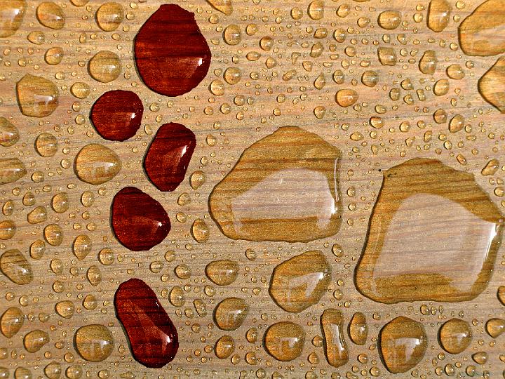 0150-drops_on_redwood.jpg - Blood : Water