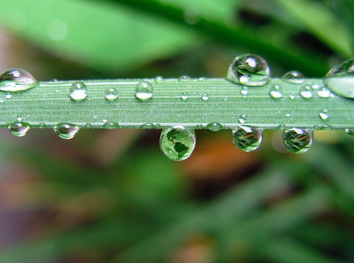 1379_earth-in-a-drop.jpg - The Earth in a Drop of Water