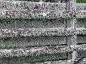 0506-fence