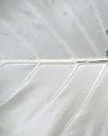 0608-albino_leaf