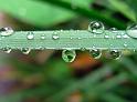 1379_earth-in-a-drop