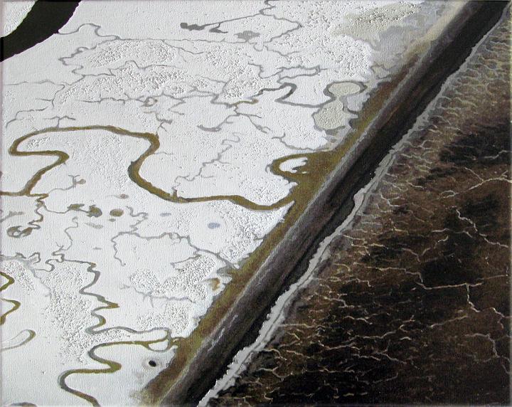 South_Bay_Salt_Flats.jpg - Bay Area Salt Flats