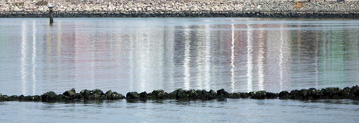 4075-container-reflections.jpg - Ship container reflections, San Francisco Bay