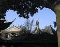 0982_Shanghai_goat_on_roof