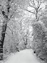 2117_The_path_not_taken